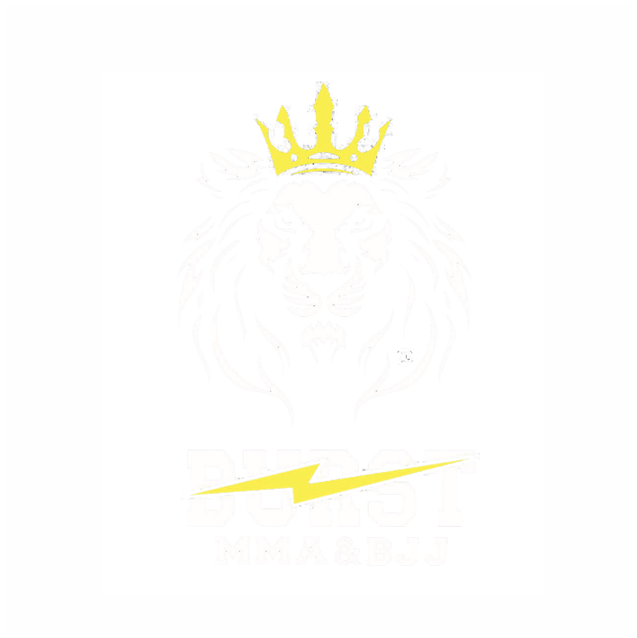総合格闘技BURST